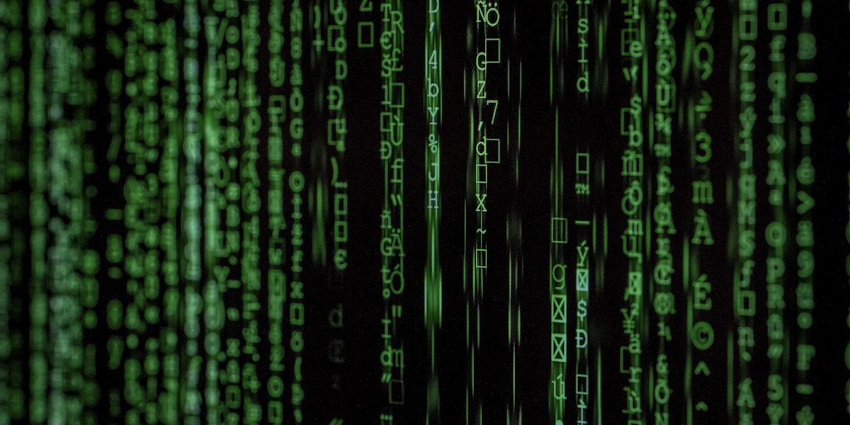 Pentest: What It Is, Types and How to Hire Correctly